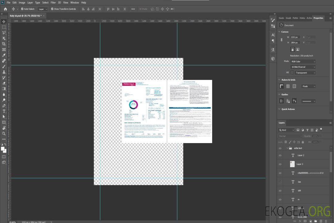 Pologne Relevé hypothécaire de la banque Millennium aux formats Word et PDF 1 , 2 template